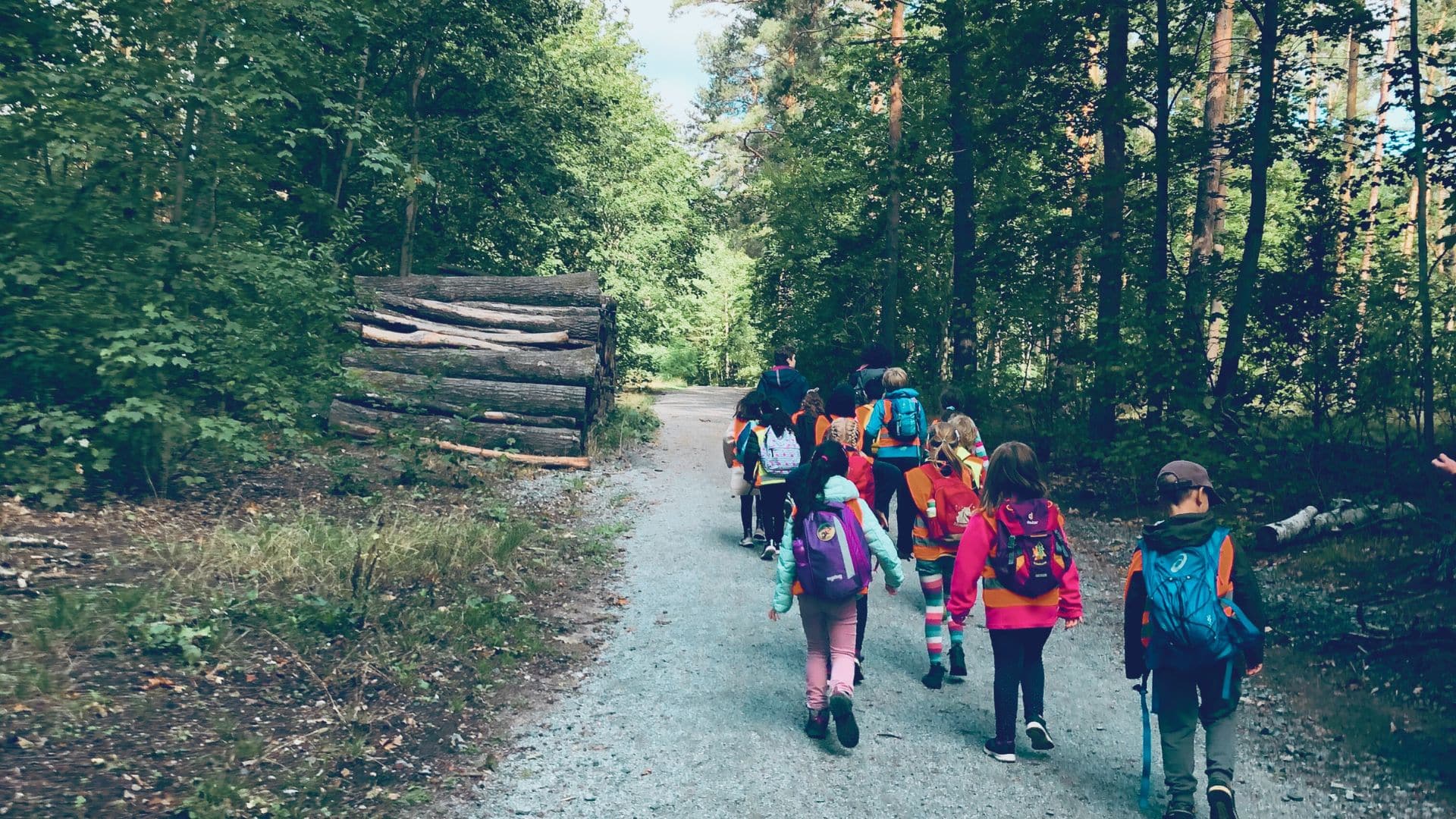 Kinder beim Waldspaziergang