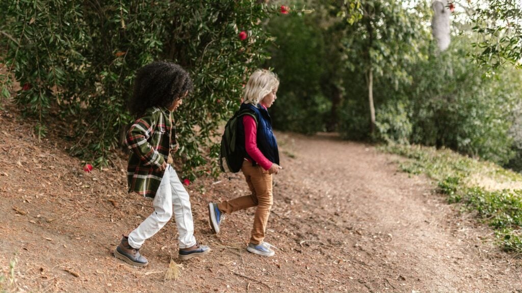 Kinder, die im Wald spazieren