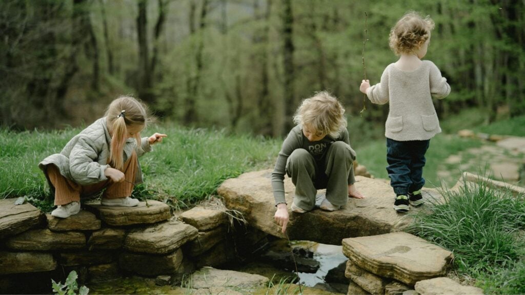 Die (negativen) Folgen von Schule (Newsletter 3/2025) 4 Drei Schüler, die im Wald die Vielseitigkeit der Natur entdecken