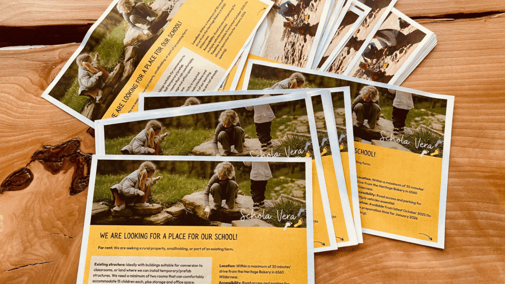 Wie ich meinen Traum-Klassenraum erschaffe (und warum 100 Flyer umsonst waren) (Newsletter 7/2025) 3 Flyer für unsere eigene Schule, Schola Vera.