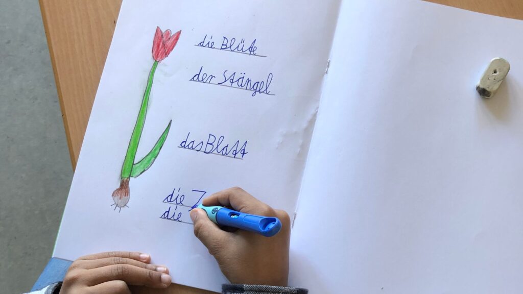 Schreibschrift-Unterricht in der Grundschule revolutionieren: So geht's (Klassen 1-3) 4 Schreibschrift in meinem Unterricht