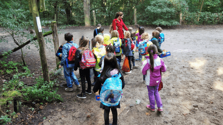 Waldausflug mit Kindern in der Grundschule